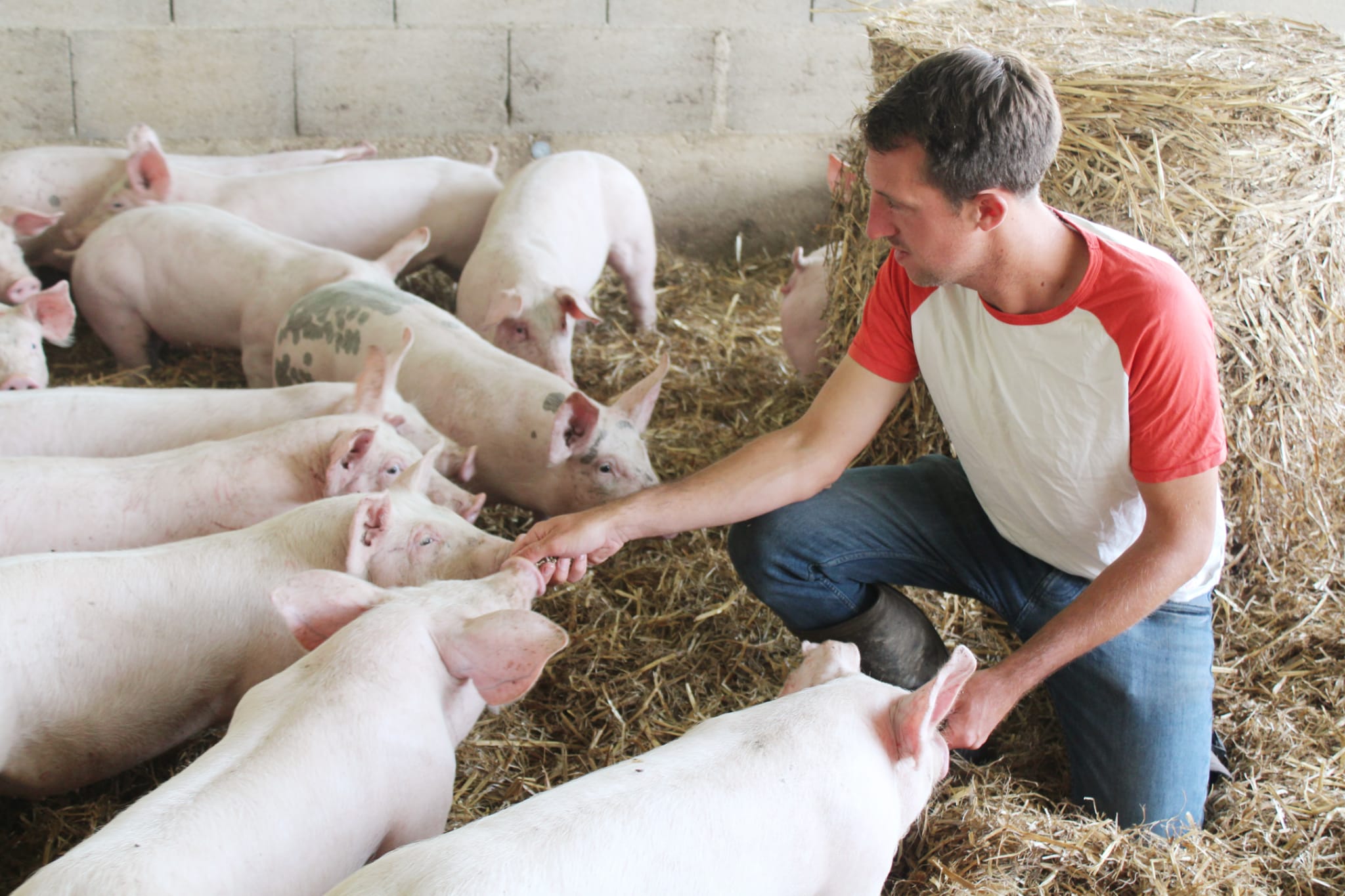 Jean-François Viel de la Ferme du Ty Viel est à l'origine de la première guinguette des producteurs.