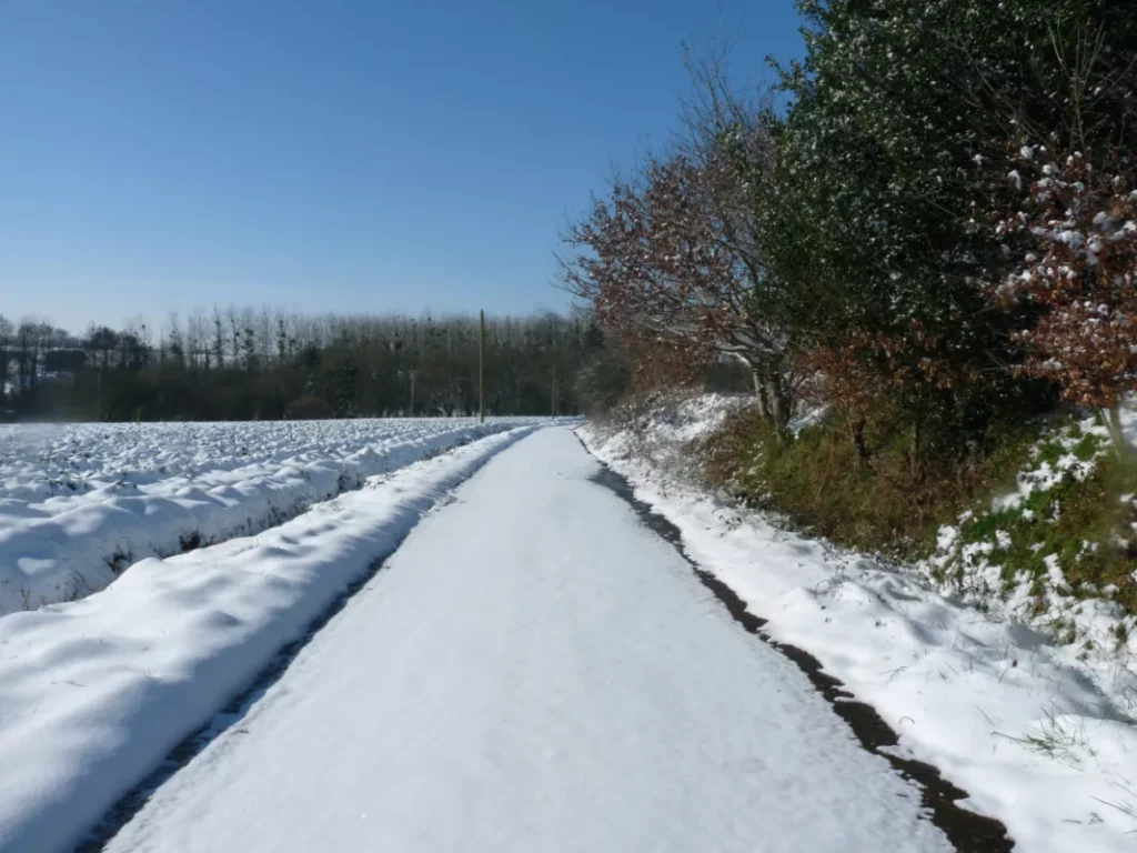 Alerte neige dans les Côtes d'Armor ce jeudi 21 novembre 2024.