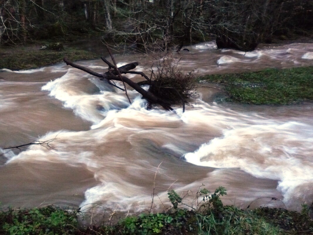 La Rance à Lanrelas ce mardi matin 28 janvier 2025.