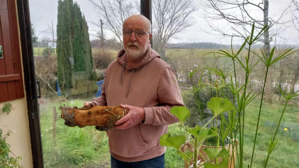 Michel de Kerleau montre un morceau de bois attaqué par le scolyte.