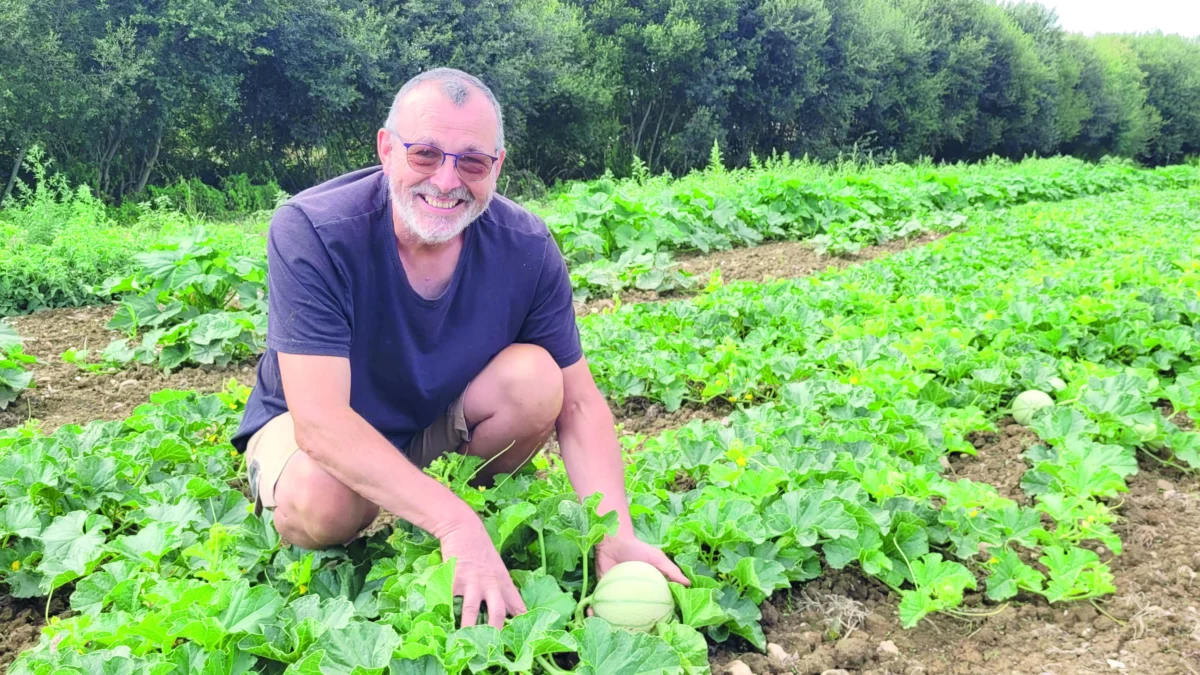 Jean-Yves Roump est accroupi dans son champ de salade.