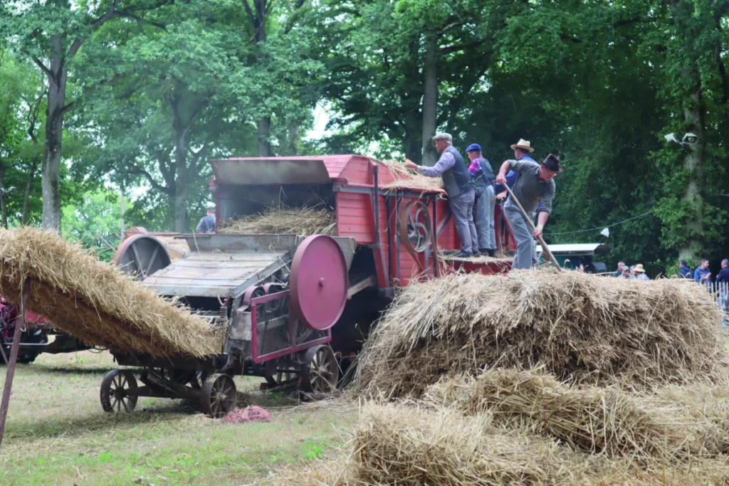 Photo d'une moissonneuse en plein battage.