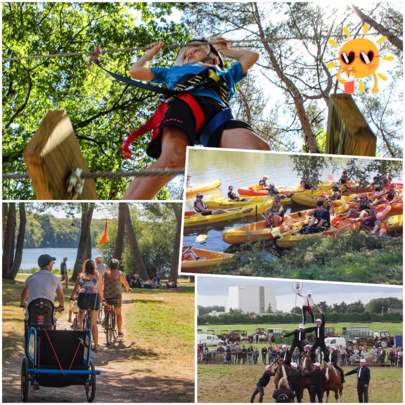 Un pêle-mêle de photographies d'activités.