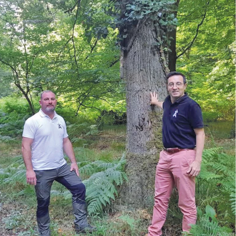 Deux personnes sont dans une forêt.