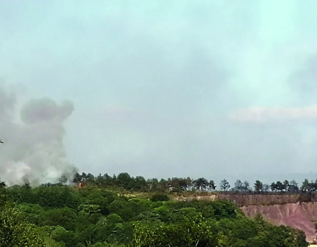 Photo du feu. La forêt brûle au loin.
