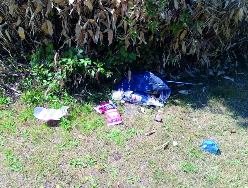 Des sacs et des déchets sont retrouvés dans l'herbe.